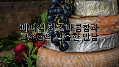 페퍼잭 치즈: 매콤함과 고소함의 황홀한 만남