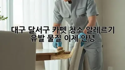 대구 달서구 카펫 청소: 알레르기 유발 물질, 이제 안녕!