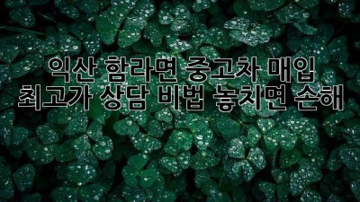 🚗 익산 함라면 중고차 매입, 최고가 상담 비법! 놓치면 손해?! 💰